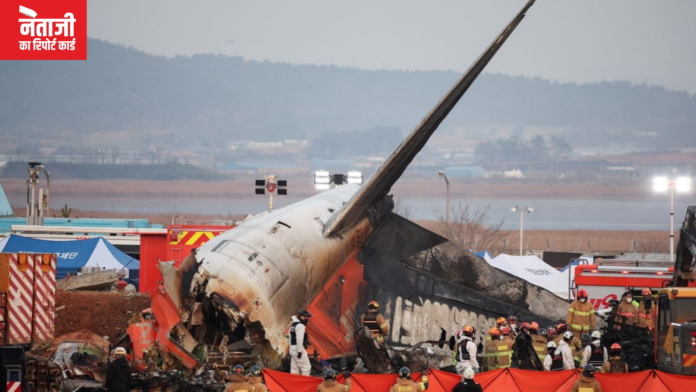 South Korea Plane Crash