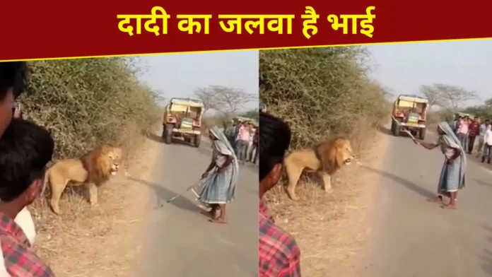 elederly-woman-chased-away-the-lion