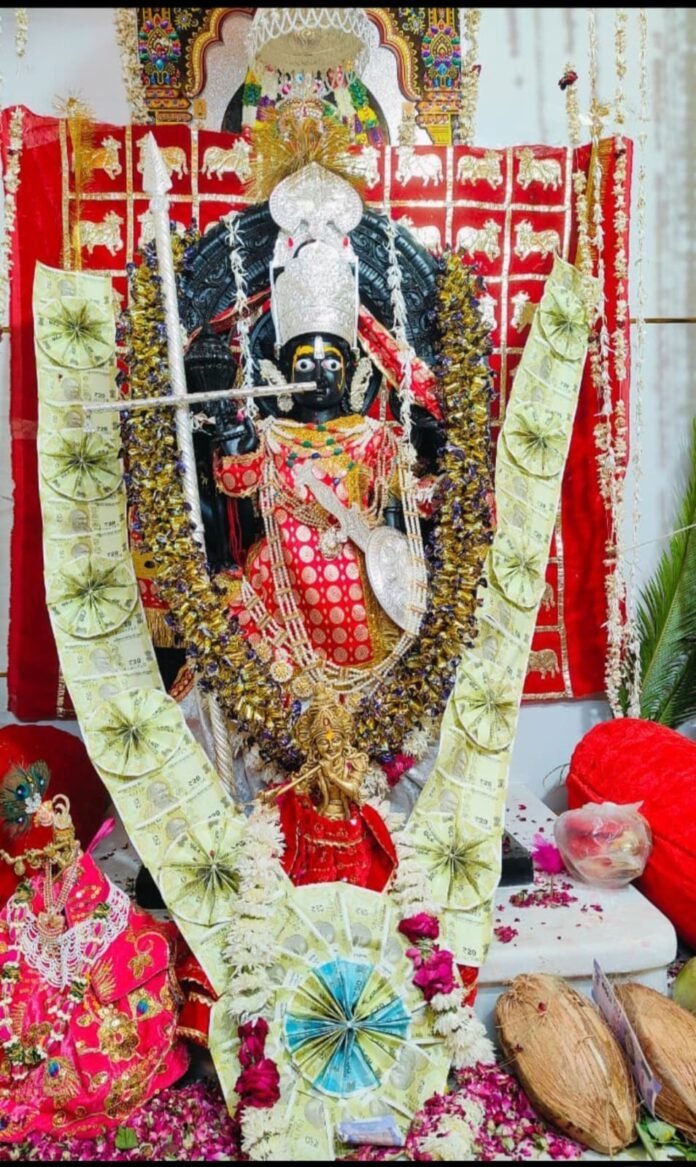 श्रीचारभुजानाथ प्राण-प्रतिष्ठा महोत्सव घोड़च