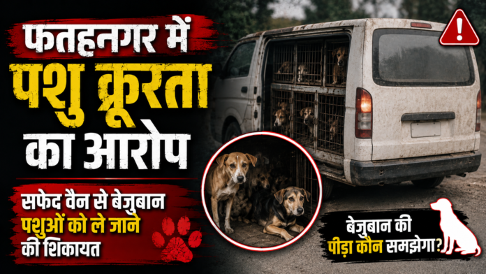फतहनगर में सफेद वैन से कुत्तों को ले जाने की शिकायत